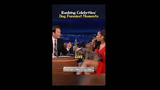 Funniest Celebrity Pet Moments on Jimmy Fallon 🐾😂 @fallontonight