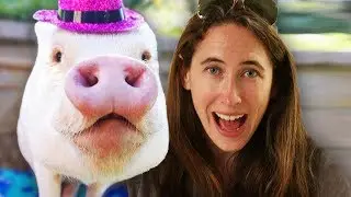 I Raised A Pig For A Day