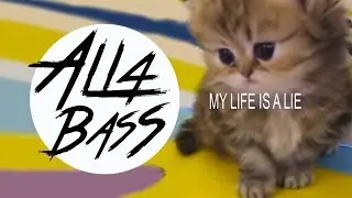 SESHLY - my life is a lie (BASS BOOSTED)