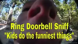 Ring Doorbell Sniff
