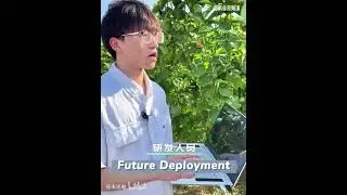 From Lab to Orchard: RealMan-Powered Passion Fruit Harvesting Robot is Here! 🌱🤖