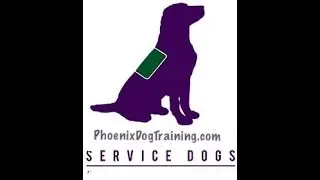 Service Dog Training Phoenix AZ | Help Training Your Service Dog