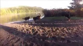 Rolley Lake