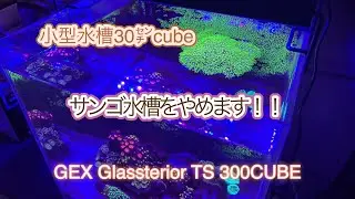 小型水槽30センチcube サンゴ水槽やめます！！　【サンゴ水槽】【アクアリウム】