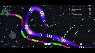 [DM] 8._denys~wx  #slitheriogameplay #slither #slitherio #gaming