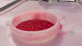 Schaumerprobung f&uuml;r die Praxis