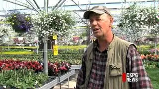 Gardeners Flock To Local Greenhouses