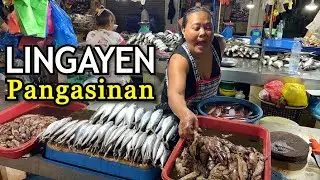 Filipino Food Market of LINGAYEN! | Afternoon Palengke Visit in LINGAYEN PANGASINAN, Philippines