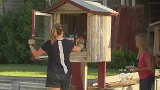 McKinney Homeowner Builds Food Pantry In Front Of Her House