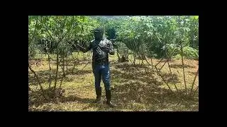 Episode 8: Soil Fertility and Productivity Management (Part 2)