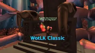 The Immortal - Full Run (25-man WotLK Classic), Aggnilia - Arms Warrior / Naxxramas