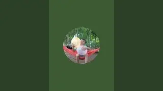 halo aku punya balon air
