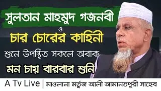 সুলতান মাহমুদ গজনবী ও চার চোরের কাহিনী। মাওলানা মর্তুজ আলী আমানতপুরী। Mawlana Mortuz Ali Amanotpuri