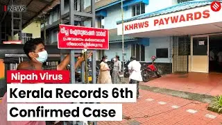 Nipah Virus Latest News: Kerala Confirms One More Nipah Virus Infection | Kozhikode