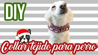 DIY l Collar tejido para perro