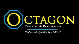 Water Damage 101: Why You Need Professional Restoration