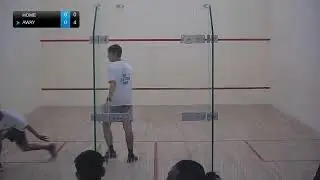 daniel yaar Live Stream