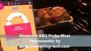 Bluetooth BBQ Probe Meat Thermometer