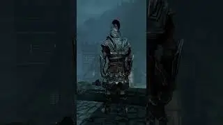 Imperial Heavy (closed) (SKYRIM)
