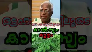#shotrs ആഹാരത്തിലൂടെ കാൽസ്യം കൂട്ടം #malayalam #kvdayal #vaidyam