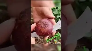 18 de mar&ccedil;o de 2023