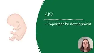 What is Okur-Chung Neurodevelopmental Syndrome (OCNDS)?