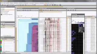 Edit and display functions in the Comparison window (BioNumerics and GelCompar II 6)