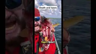 Sharks are the taxman of the sea. #captainerik #seatrout #humor