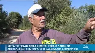 ΟΛΟΚΛΗΡΩΤΙΚΗ Η ΚΑΤΑΣΤΡΟΦΗ ΑΠΟ ΤΗΝ ΕΠΕΛΑΣΗ ΤΟΥ ΔΑΚΟΥ