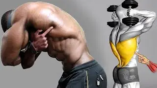 No Gym Needed 🔥 8 Lat Exercises with Dumbbells Only | Build a Wide Back at Home