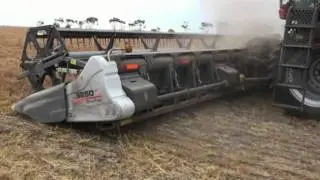 S77 Gleaner with DynaFlex Harvesting Lentils
