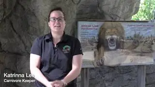 Step into the Wild - Aging Animals