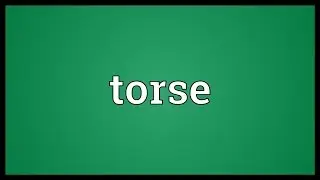 Torse Meaning