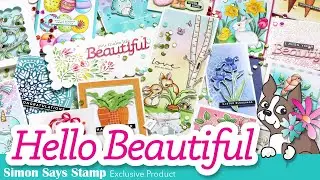 Hello Beautiful Exclusive Collection Walk-through and Reveal by Simon Says Stamp