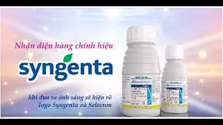 Diện mạo mới của 𝐒𝐄𝐋𝐄𝐂𝐑𝐎𝐍&reg; 𝟓𝟎𝟎𝐄𝐂  &ndash; DUNG T&Iacute;CH LỚN HƠN - TIỆN LỢI HƠN.