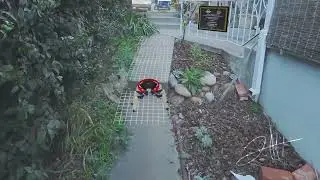 Robot In the Garden - ShapesXR Idea Prototype