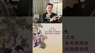 Thinking About Each Other Seed - Buddha Rosary Beads | Learn Chinese Now