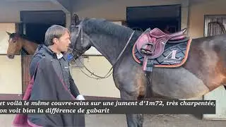 Comment mettre un couvre-reins taille full sur un cheval (vid&eacute;o 2)