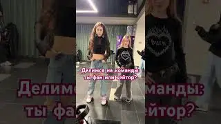 Делимся на команды: ты фан или хейтор? #music #жиза #юмор #вайны #iribaby #challenge #shortvideo