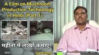Complete information about mushroom farming by scientists. in Hindi Part (1)By RMRC,Murthal