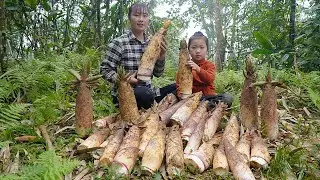 FULL VIDEO: Harvesting the first bamboo shoots of the season and taking them to sell | Tương Thị Mai
