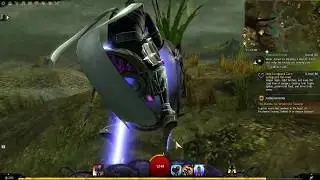 GW2 Every Waypoint in Caledon Forest in 6 minutes