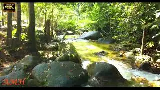 Xplore Taman Eko Rimba Kledang Saiong Ipoh - 4K