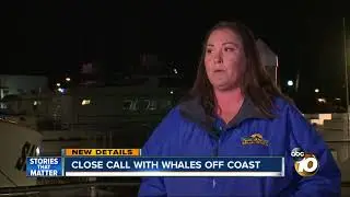 Close call with gray whales off San Diego coast