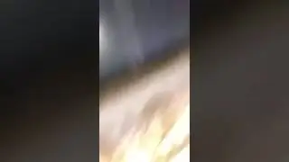 حفله عصام اللامي والمايسترو عدنان العربي
