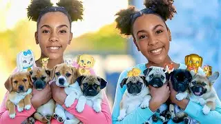 Big Magical Puppy Surprise!
