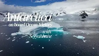 Magical Antarctica onboard @AlbatrosExpeditions_ 's amazing Ocean Victory with Seyyahhane.