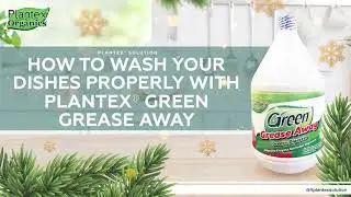 Plantex Solution Tip: How To Wash Your Dishes Properly with Grease Away