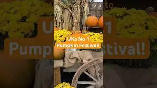 Come with me to No1 pumpkin festival in UK! #pumpkinfestival #familyday #festival #pumpkinpicking