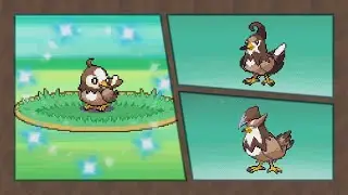 [Live] - Shiny Starly after 3,716 random encounters in Platinum!